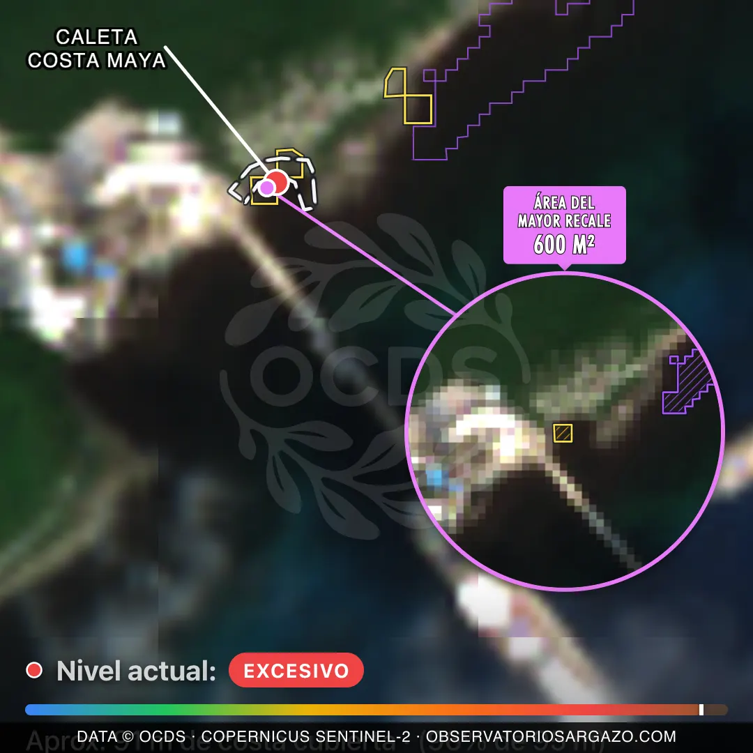 Image satellite des sargasses sur la plage Caleta Costa Maya, Mahahual — sargasses excessives, 12 octobre 2026