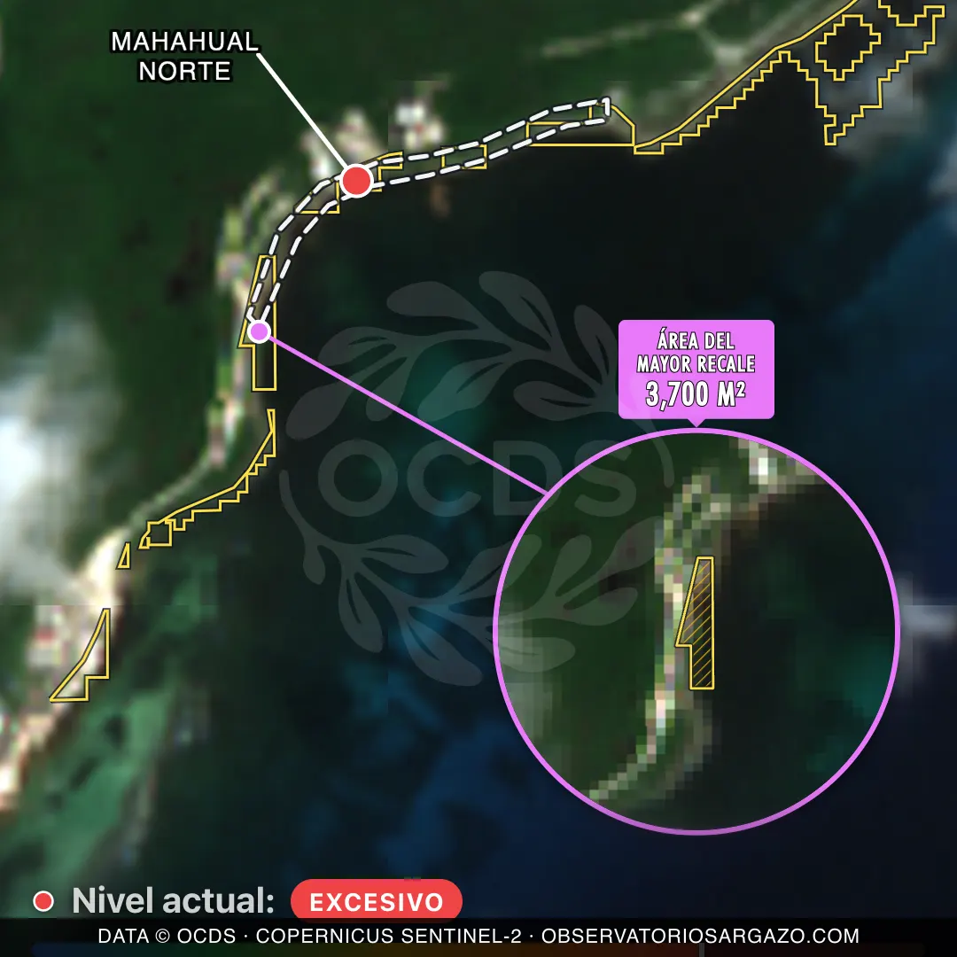 Image satellite des sargasses sur la plage Mahahual Norte, Mahahual — sargasses excessives, 12 octobre 2026