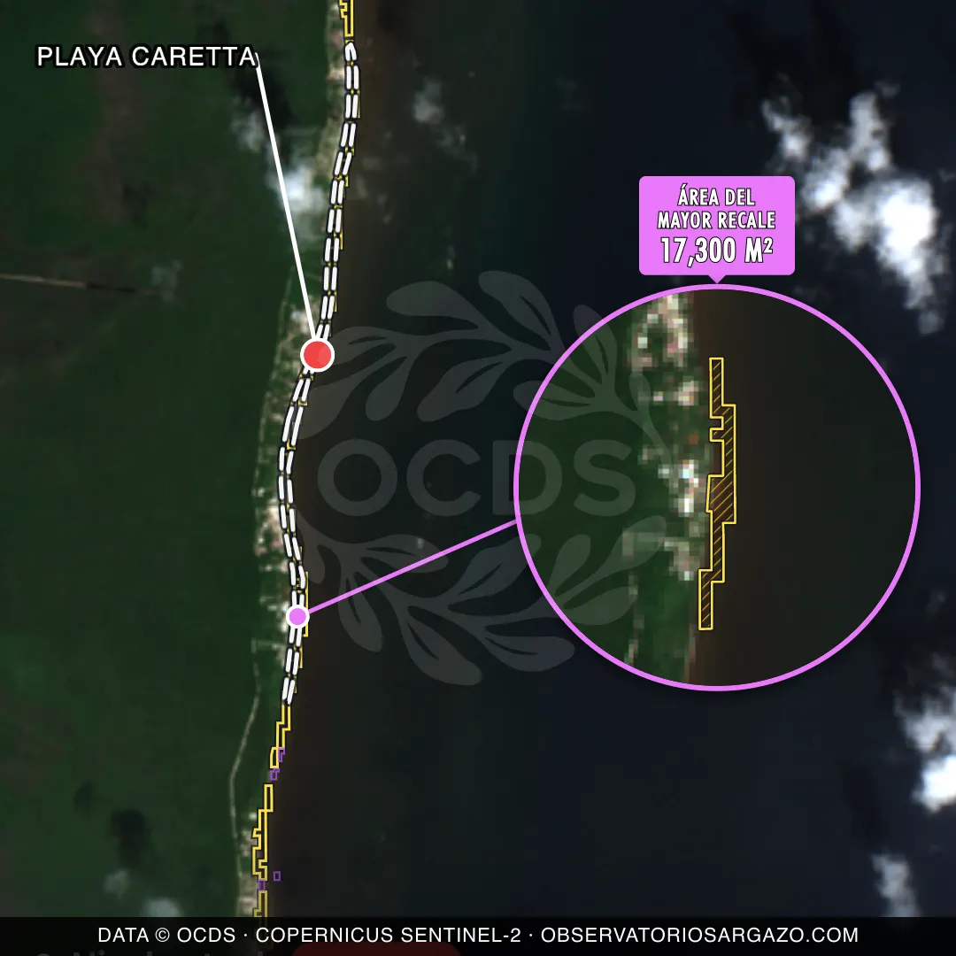 Image satellite des sargasses sur la plage Playa Caretta, Mahahual — sargasses excessives, 12 octobre 2026