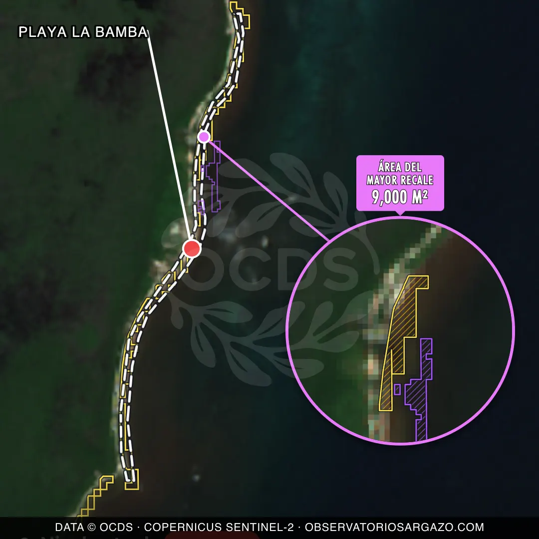 Image satellite des sargasses sur la plage Playa La Bamba, Mahahual — sargasses excessives, 12 octobre 2026