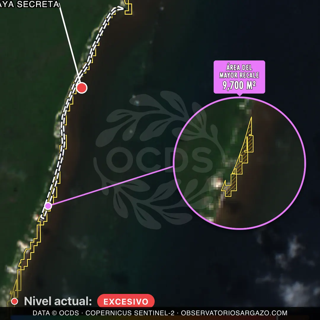 Image satellite des sargasses sur la plage Playa Secreta, Mahahual — sargasses excessives, 12 octobre 2026