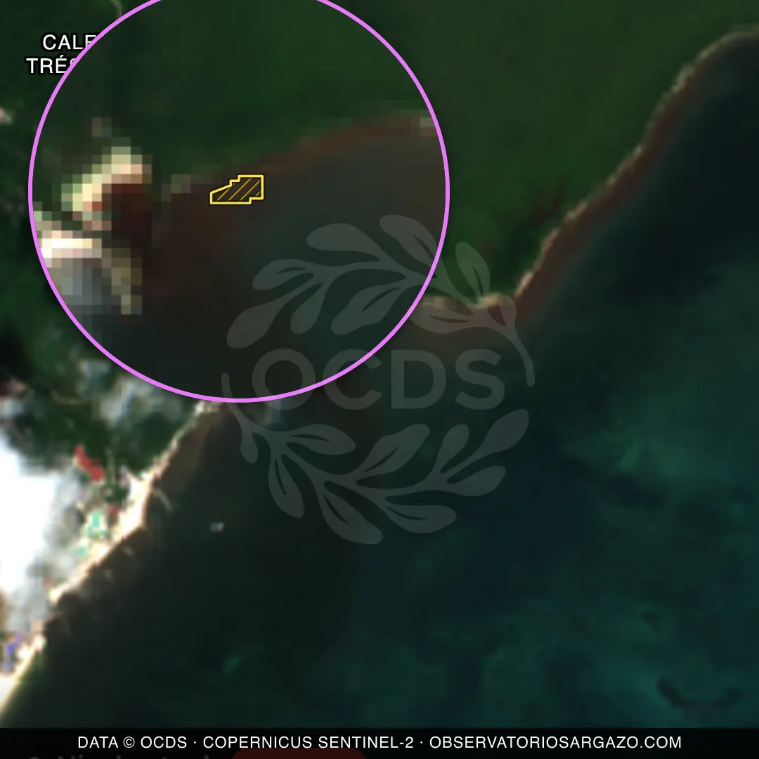 Immagine satellitare del sargasso sulla spiaggia Caleta Trés Ríos, Playa del Carmen — sargasso eccessivo, 12 ottobre 2026