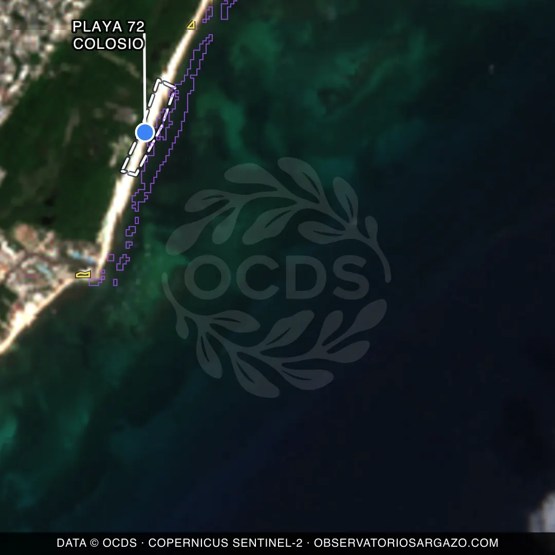 Image satellite des sargasses sur la plage Playa 72 Colosio, Playa del Carmen — sans sargasses, 12 octobre 2026