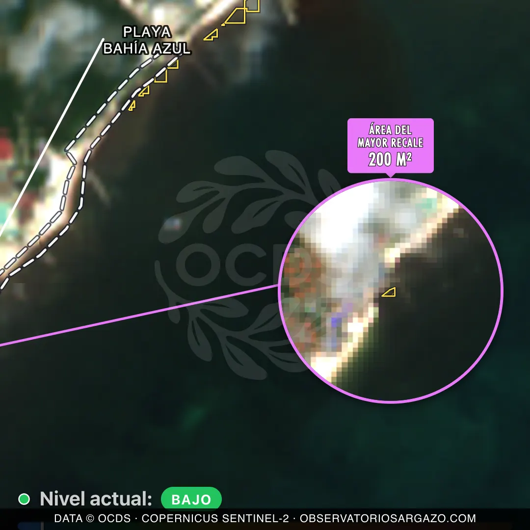 Image satellite des sargasses sur la plage Playa Bahía Azul, Playa del Carmen — peu de sargasses, 12 octobre 2026