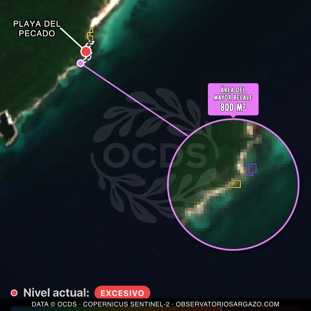 Immagine satellitare del sargasso sulla spiaggia Playa del Pecado, Playa del Carmen — marea marrone, 12 ottobre 2026