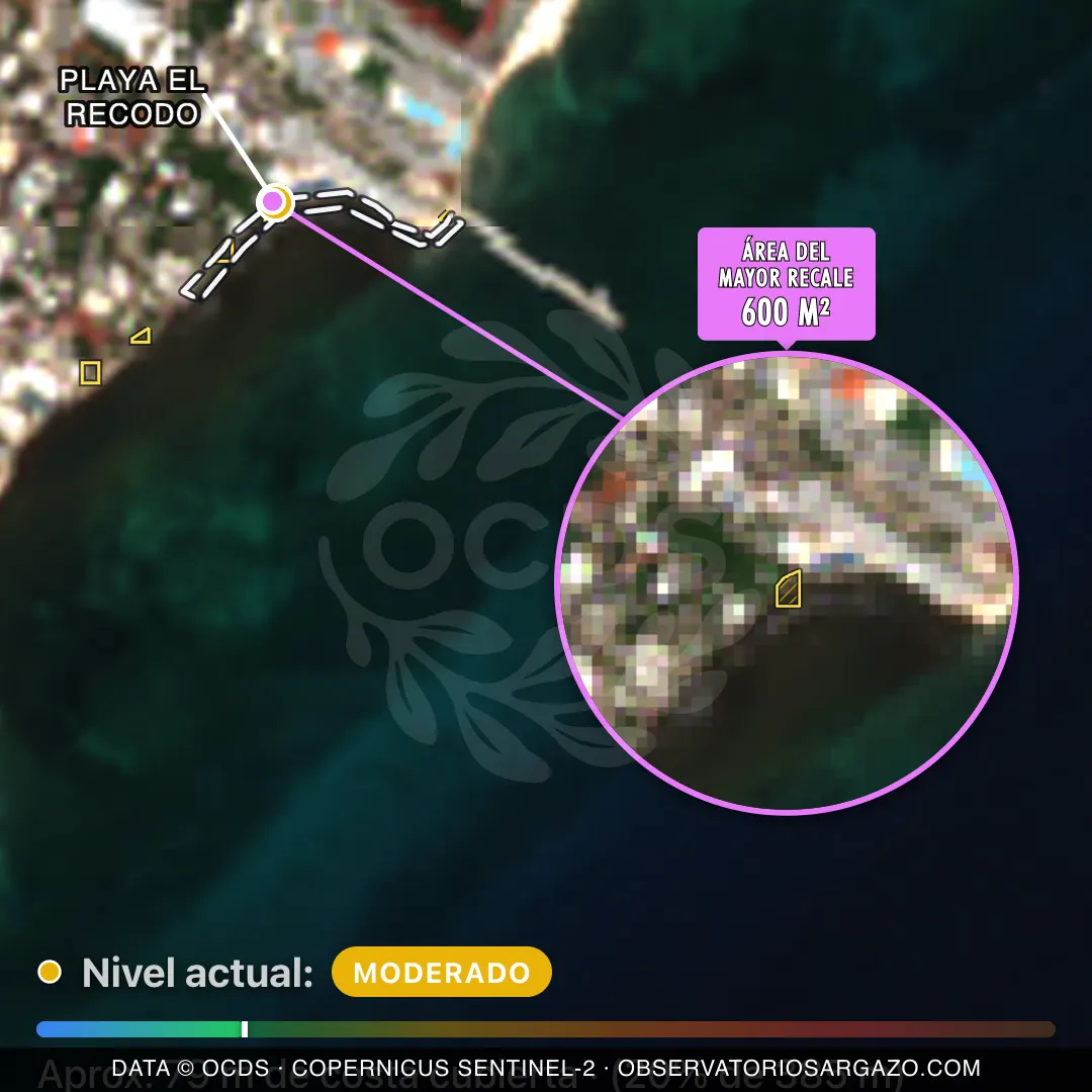 Immagine satellitare del sargasso sulla spiaggia Playa El Recodo, Playa del Carmen — sargasso moderato, 12 ottobre 2026