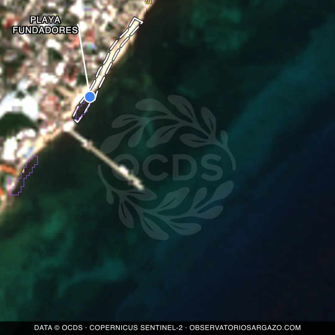 Immagine satellitare del sargasso sulla spiaggia Playa Fundadores, Playa del Carmen — marea marrone, 12 ottobre 2026