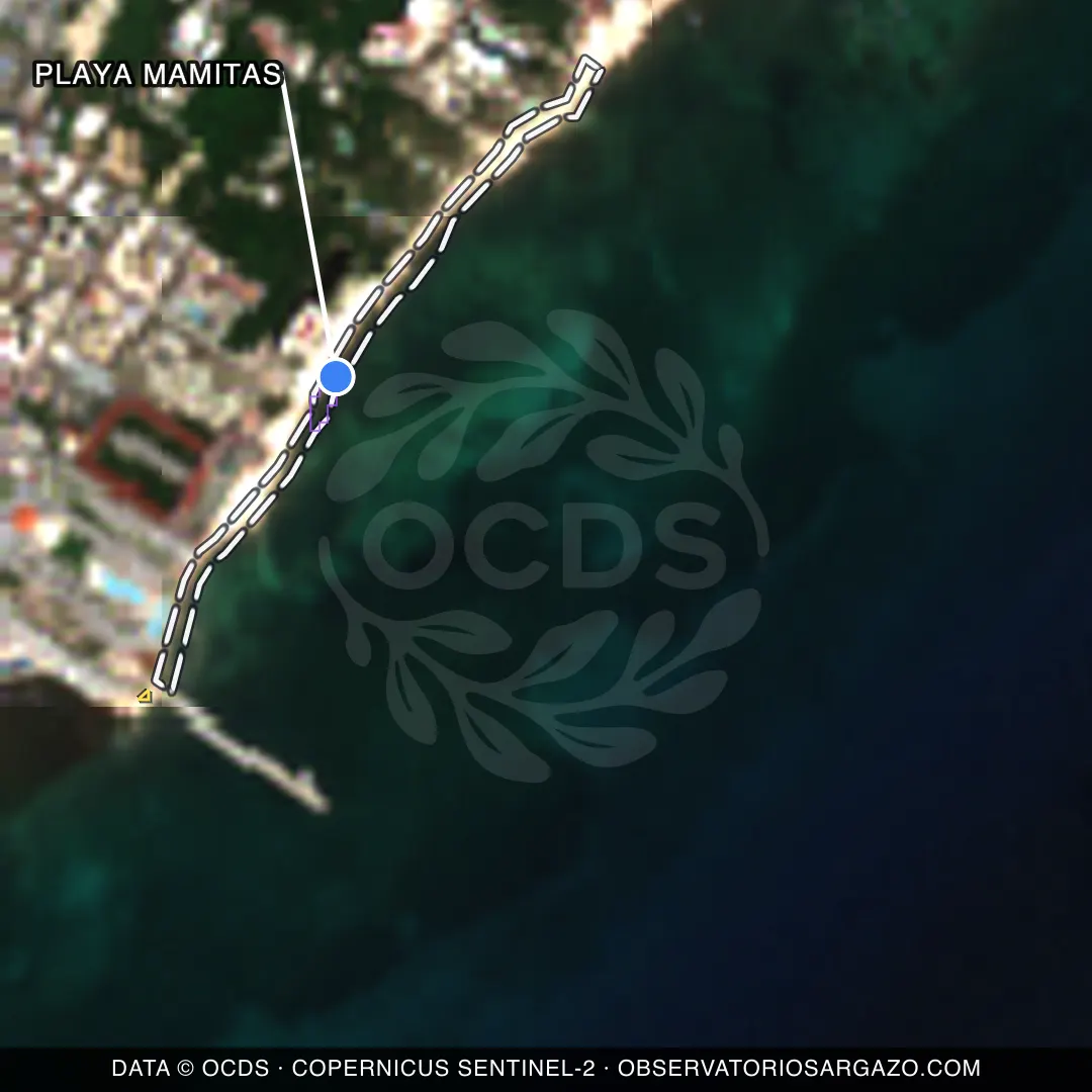 Immagine satellitare del sargasso sulla spiaggia Playa Mamitas, Playa del Carmen — senza sargasso, 12 ottobre 2026