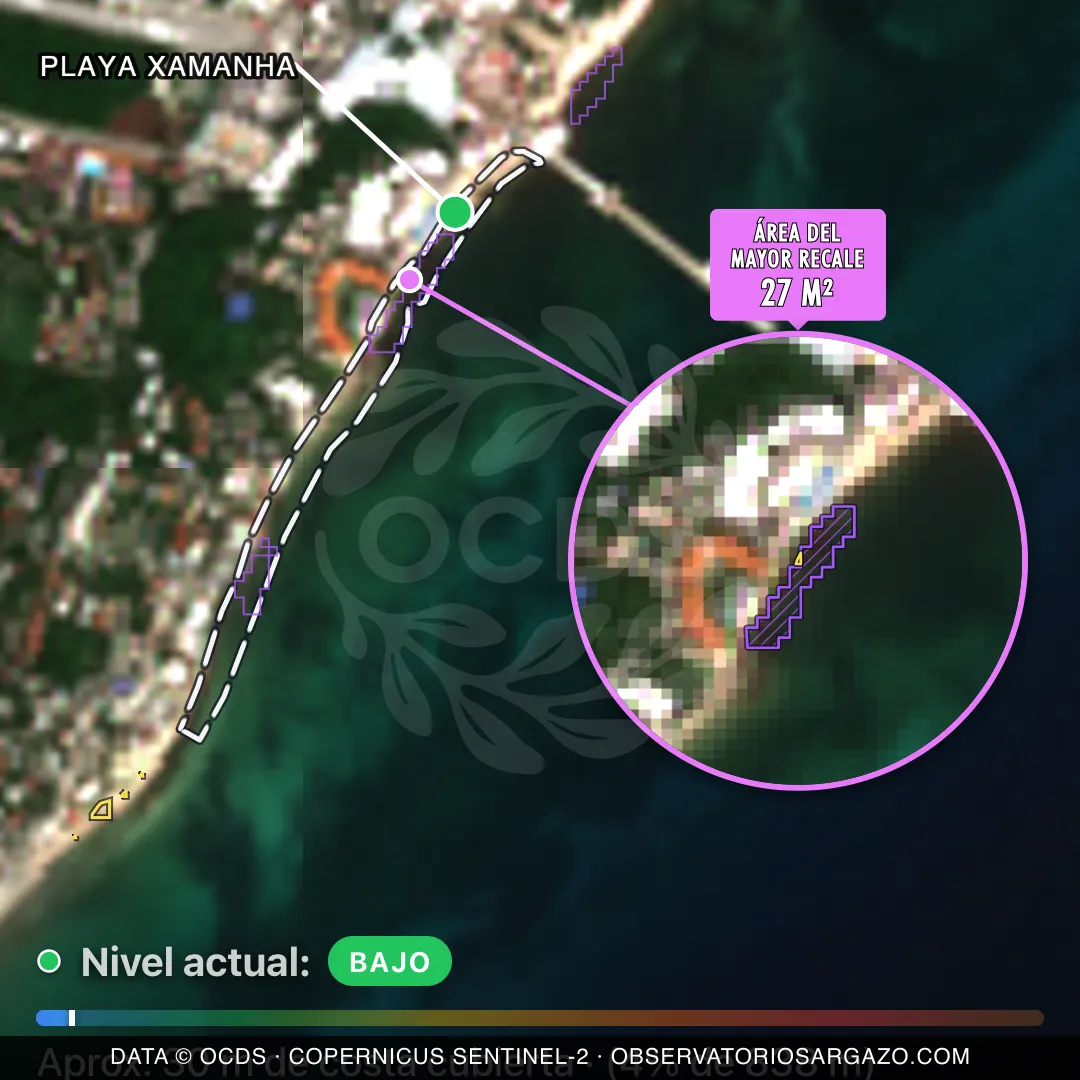 Immagine satellitare del sargasso sulla spiaggia Playa Xamanha, Playa del Carmen — marea marrone, 12 ottobre 2026