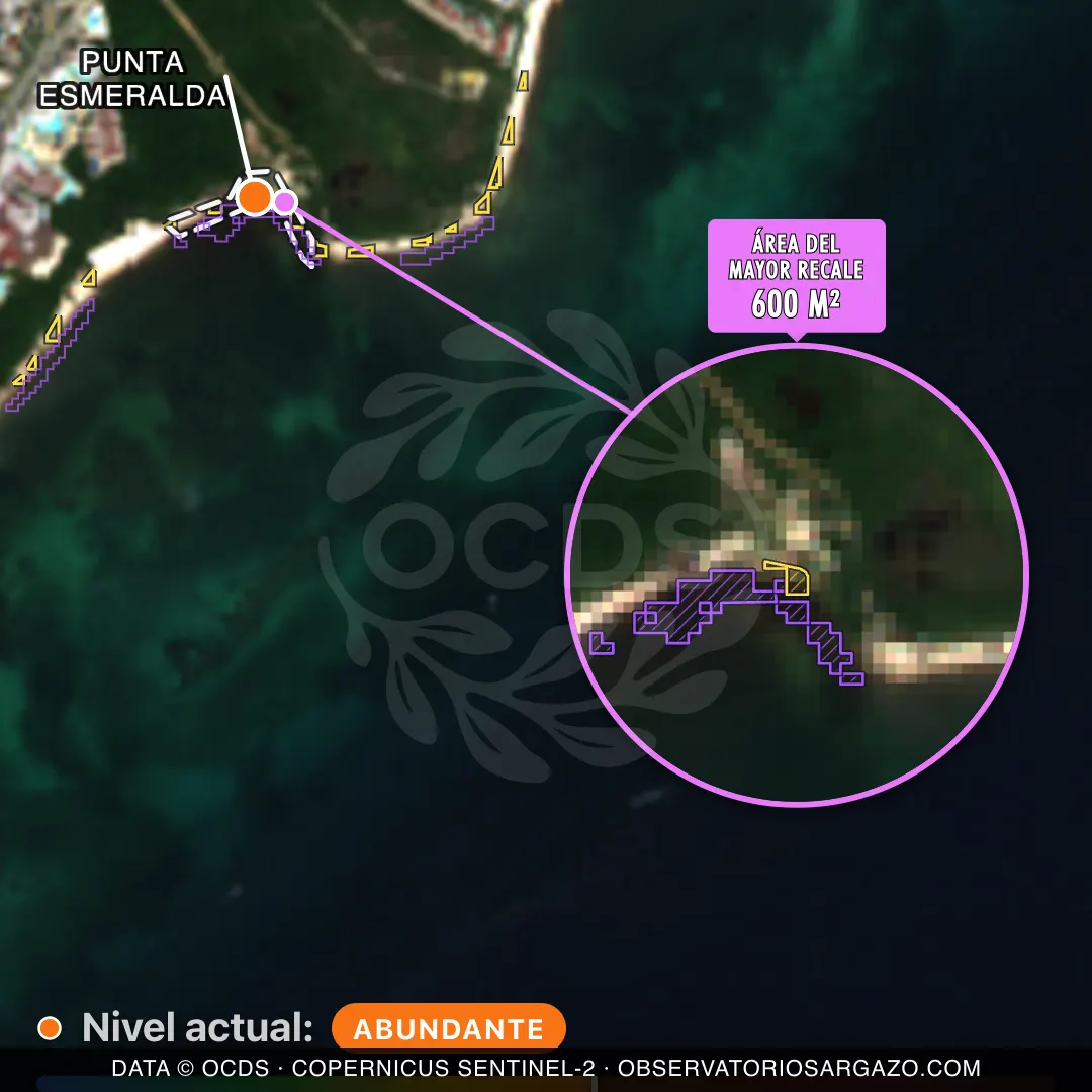 Image satellite des sargasses sur la plage Punta Esmeralda, Playa del Carmen — marée brune, 12 octobre 2026