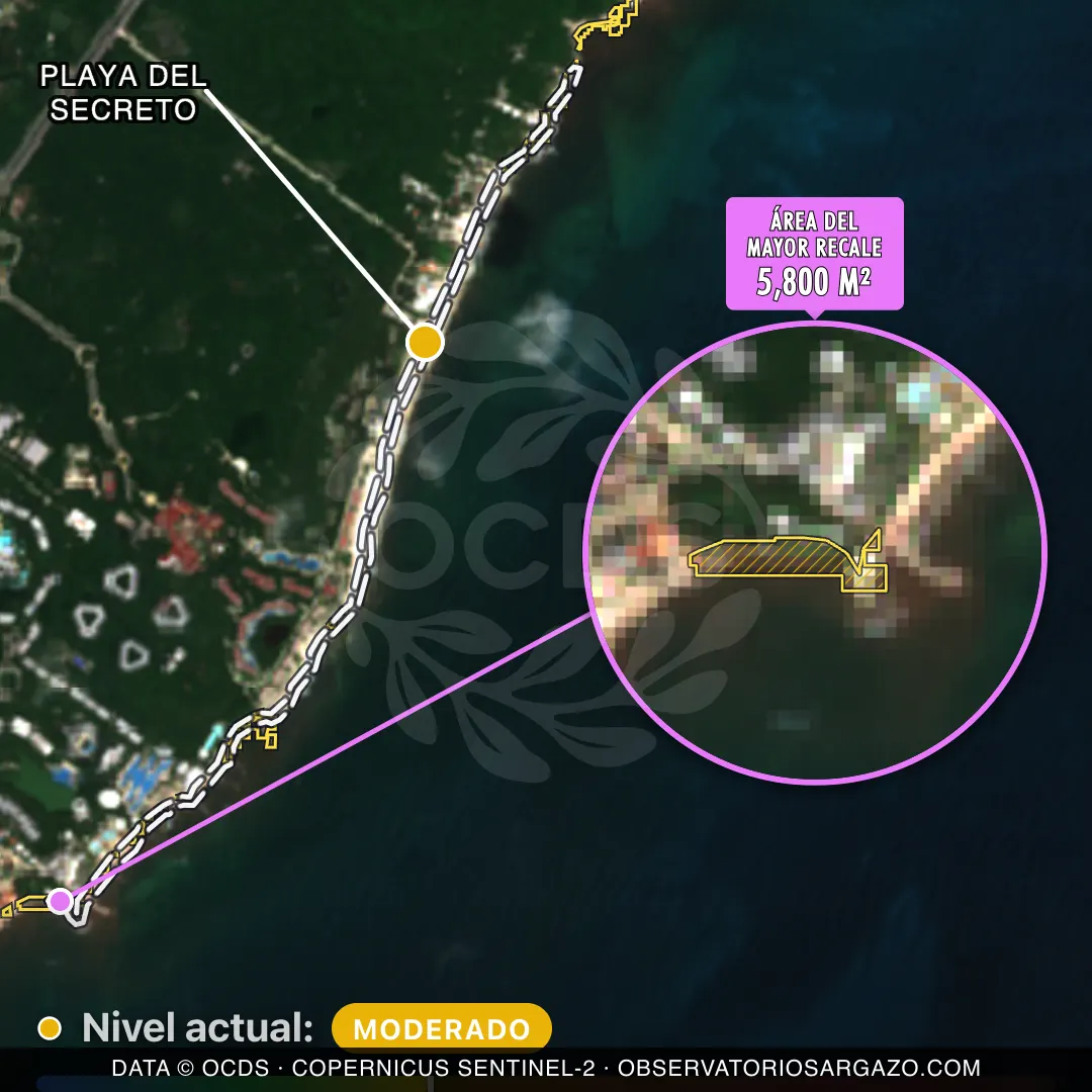 Image satellite des sargasses sur la plage Playa del Secreto, Puerto Morelos — sargasses modérées, 12 octobre 2026
