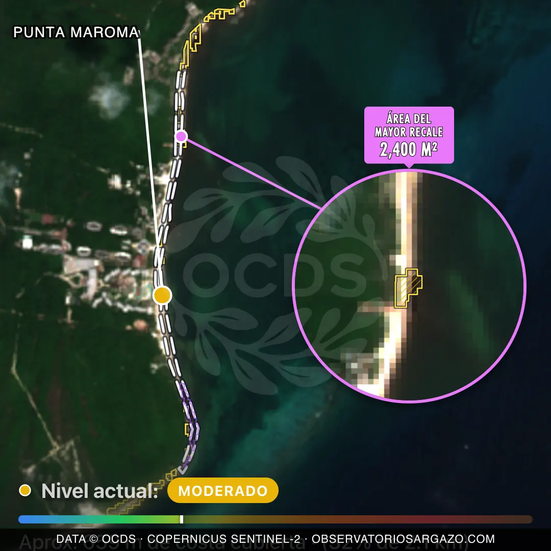 Immagine satellitare del sargasso sulla spiaggia Punta Maroma, Puerto Morelos — sargasso moderato, 12 ottobre 2026