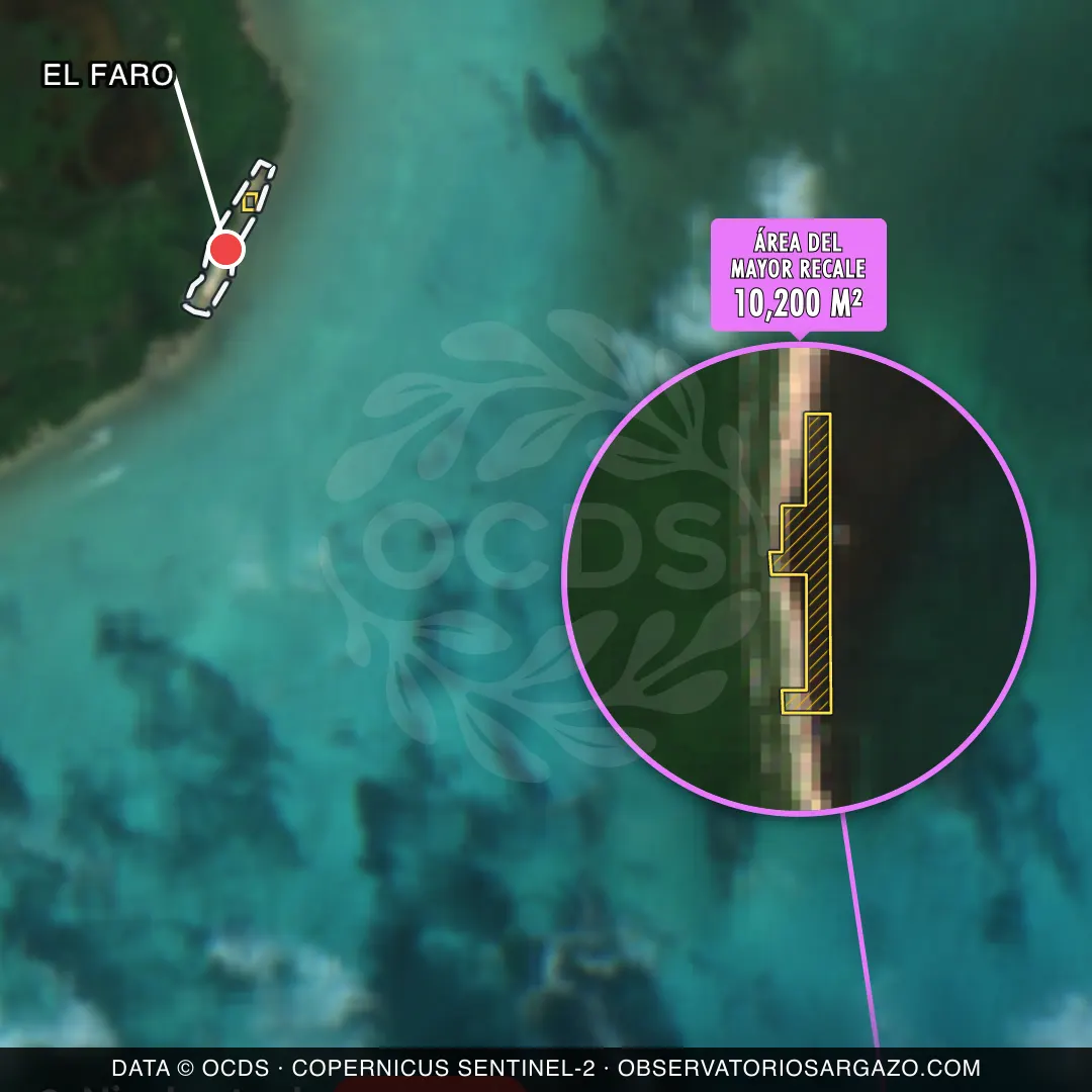 Immagine satellitare del sargasso sulla spiaggia El Faro, Punta Allen — sargasso eccessivo, 12 ottobre 2026