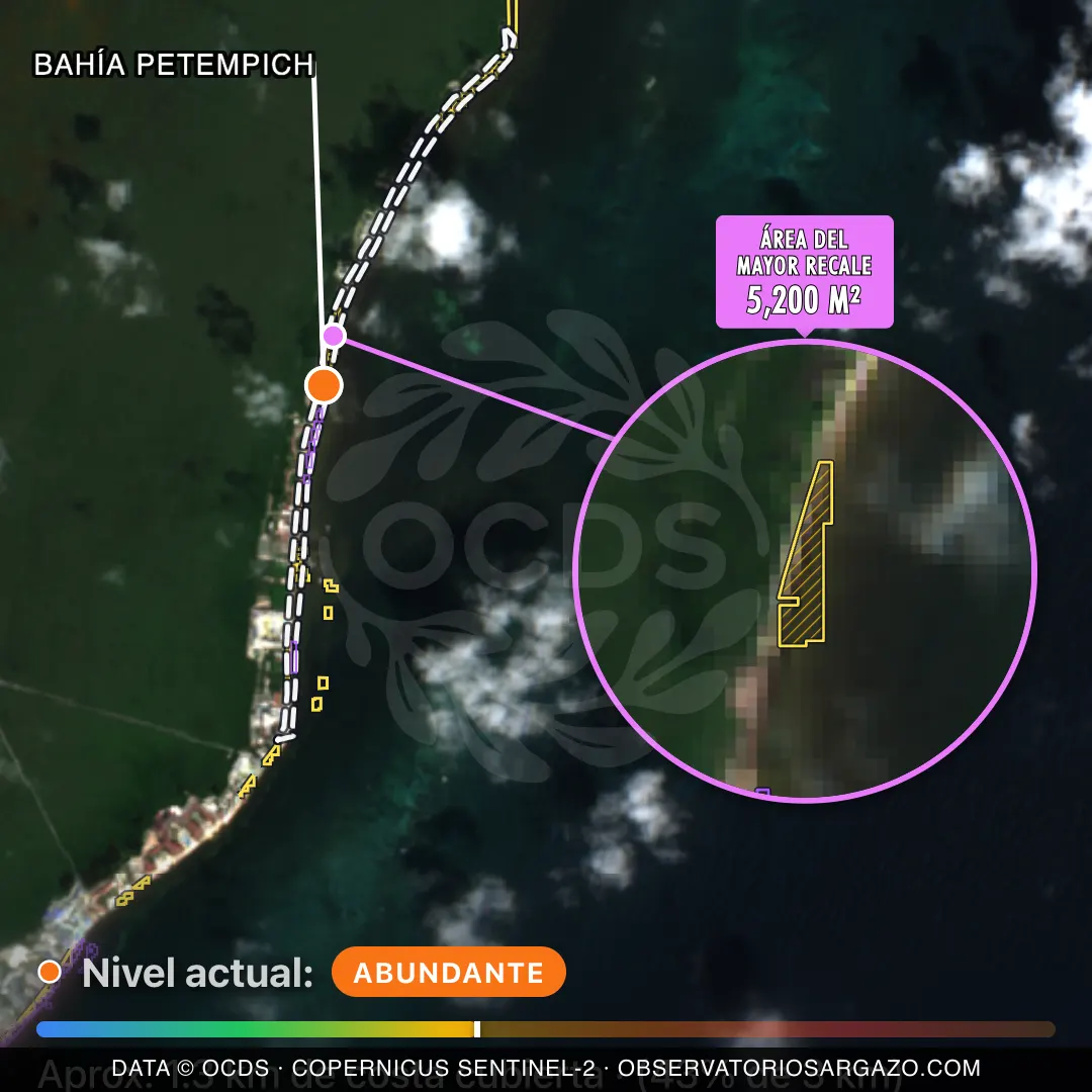 Immagine satellitare del sargasso sulla spiaggia Bahía Petempich, Riviera Cancún — sargasso abbondante, 12 ottobre 2026