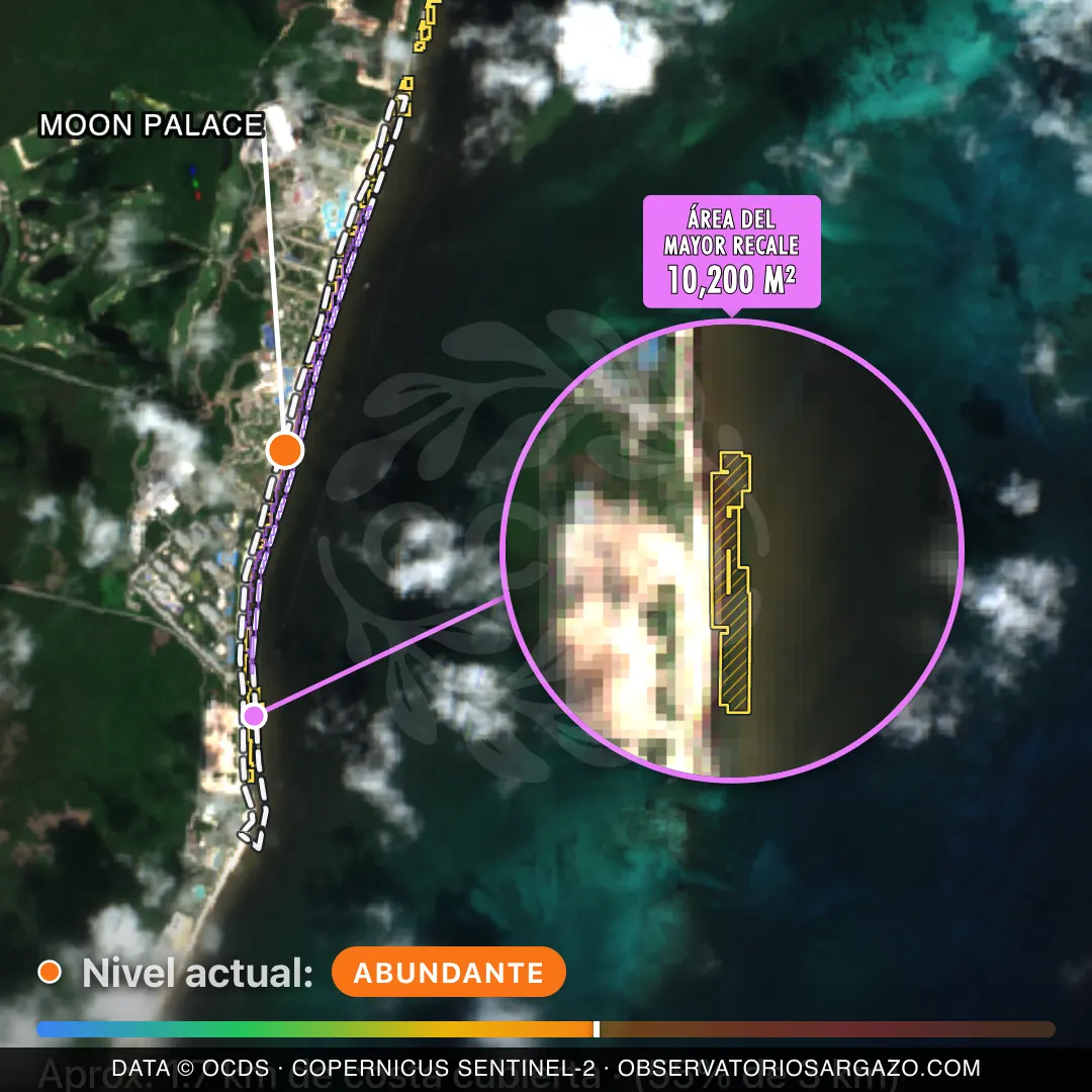 Immagine satellitare del sargasso sulla spiaggia Moon Palace, Riviera Cancún — marea marrone, 12 ottobre 2026