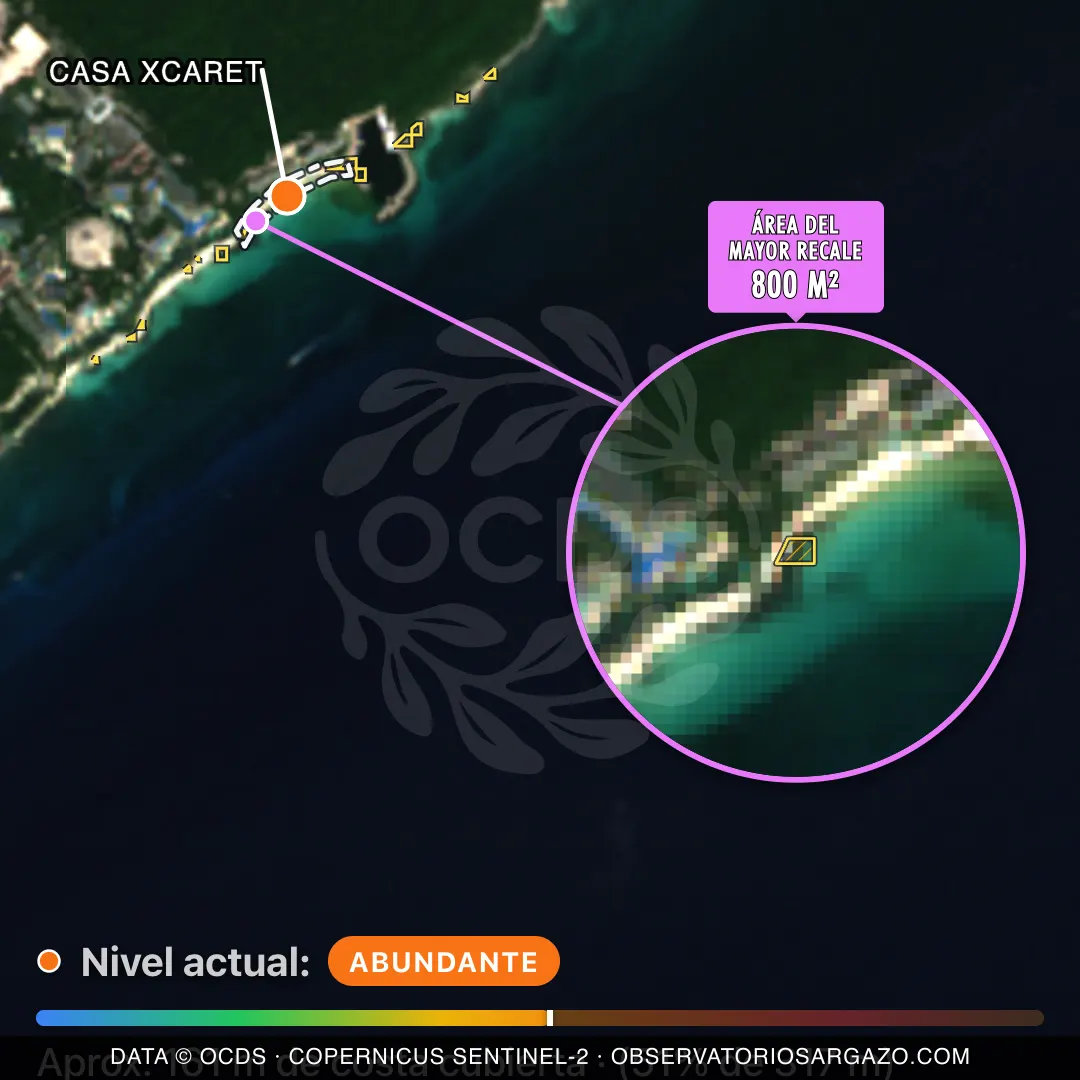 Immagine satellitare del sargasso sulla spiaggia Casa Xcaret, Riviera Maya — sargasso abbondante, 12 ottobre 2026