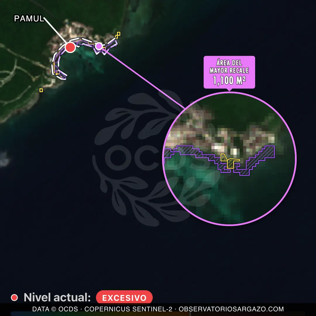 Immagine satellitare del sargasso sulla spiaggia Pamul, Riviera Maya — marea marrone, 12 ottobre 2026