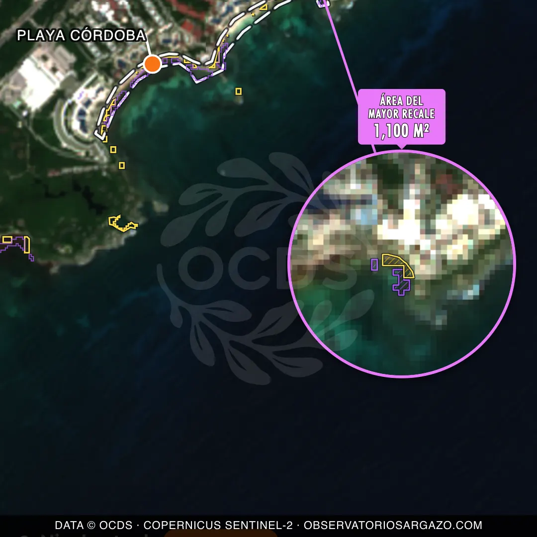 Immagine satellitare del sargasso sulla spiaggia Playa Córdoba, Riviera Maya — marea marrone, 12 ottobre 2026