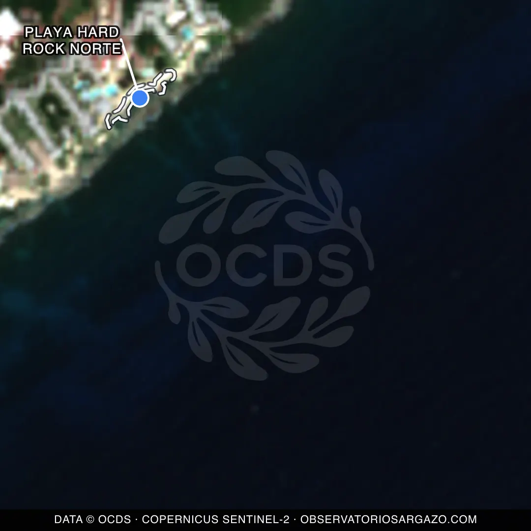 Immagine satellitare del sargasso sulla spiaggia Playa Hard Rock Norte, Riviera Maya — senza sargasso, 12 ottobre 2026
