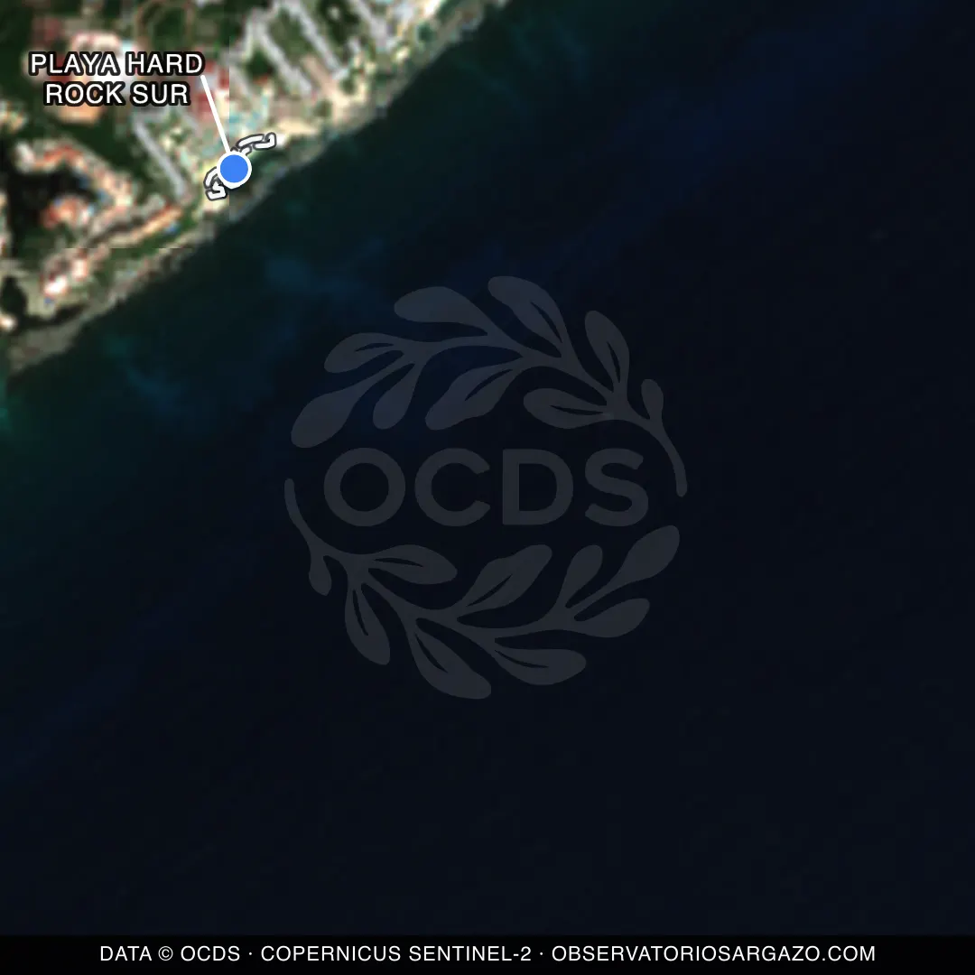 Immagine satellitare del sargasso sulla spiaggia Playa Hard Rock Sur, Riviera Maya — senza sargasso, 12 ottobre 2026