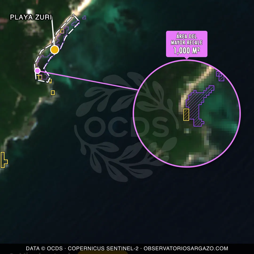 Image satellite des sargasses sur la plage Playa Zuri, Riviera Maya — marée brune, 12 octobre 2026