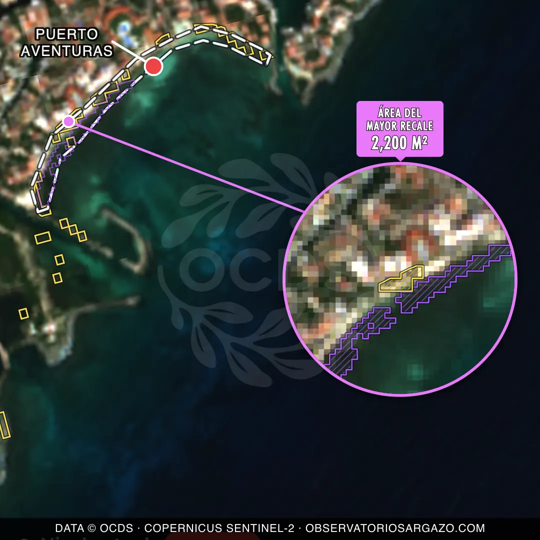 Immagine satellitare del sargasso sulla spiaggia Puerto Aventuras, Riviera Maya — marea marrone, 12 ottobre 2026
