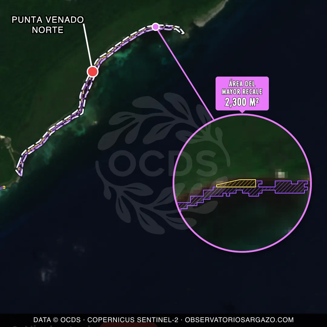 Immagine satellitare del sargasso sulla spiaggia Punta Venado Norte, Riviera Maya — marea marrone, 12 ottobre 2026