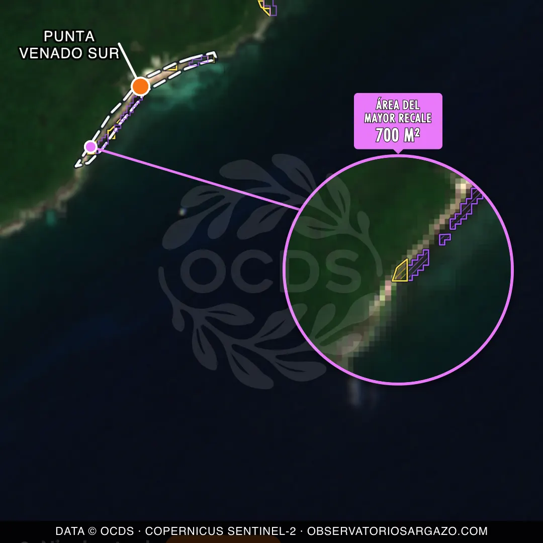 Immagine satellitare del sargasso sulla spiaggia Punta Venado Sur, Riviera Maya — marea marrone, 12 ottobre 2026