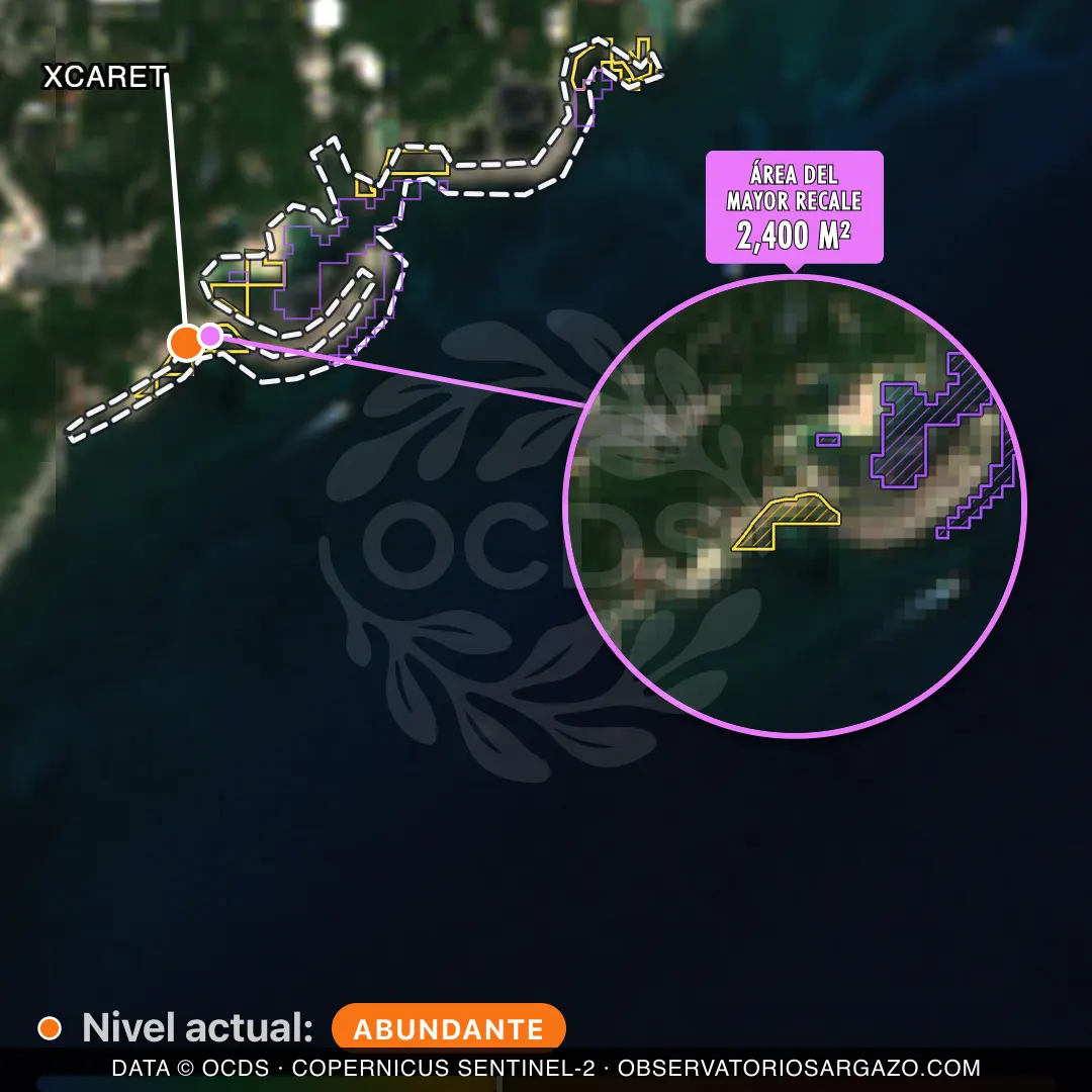 Immagine satellitare del sargasso sulla spiaggia Xcaret, Riviera Maya — marea marrone, 12 ottobre 2026