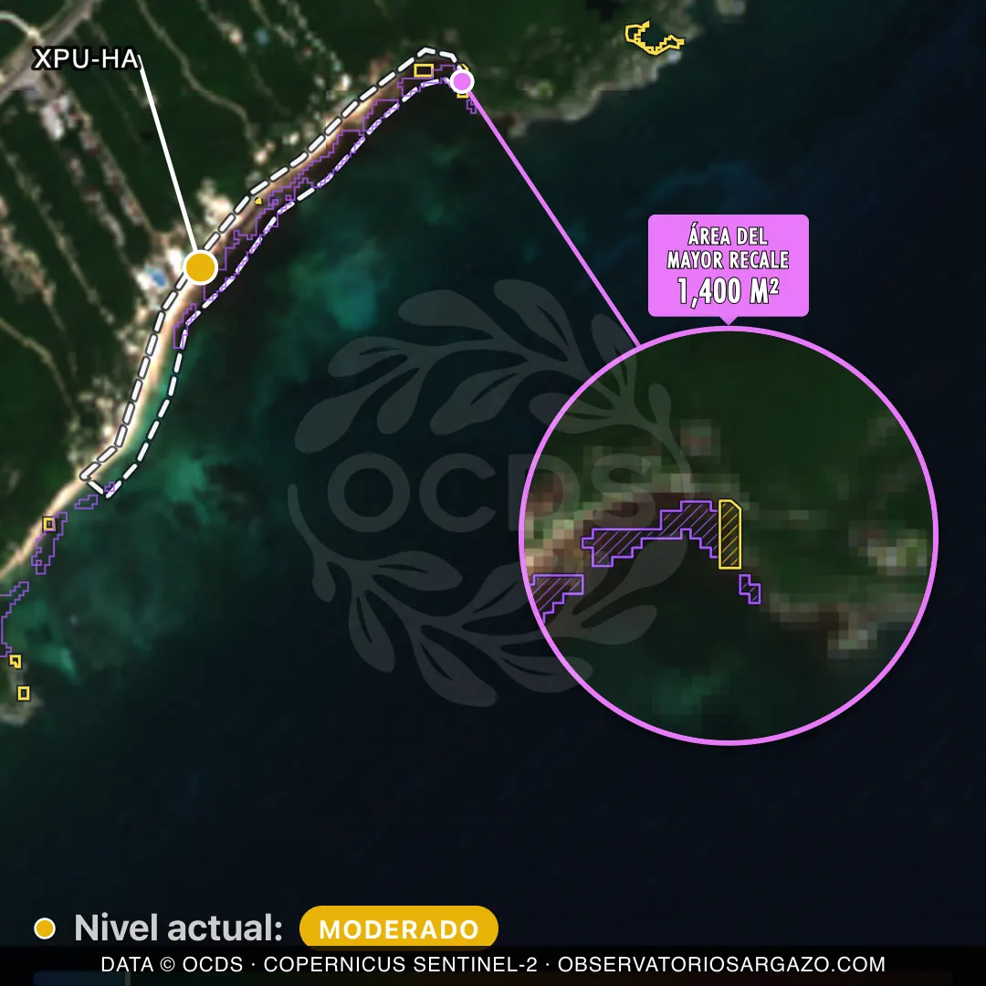 Image satellite des sargasses sur la plage Xpu-Ha, Riviera Maya — marée brune, 12 octobre 2026
