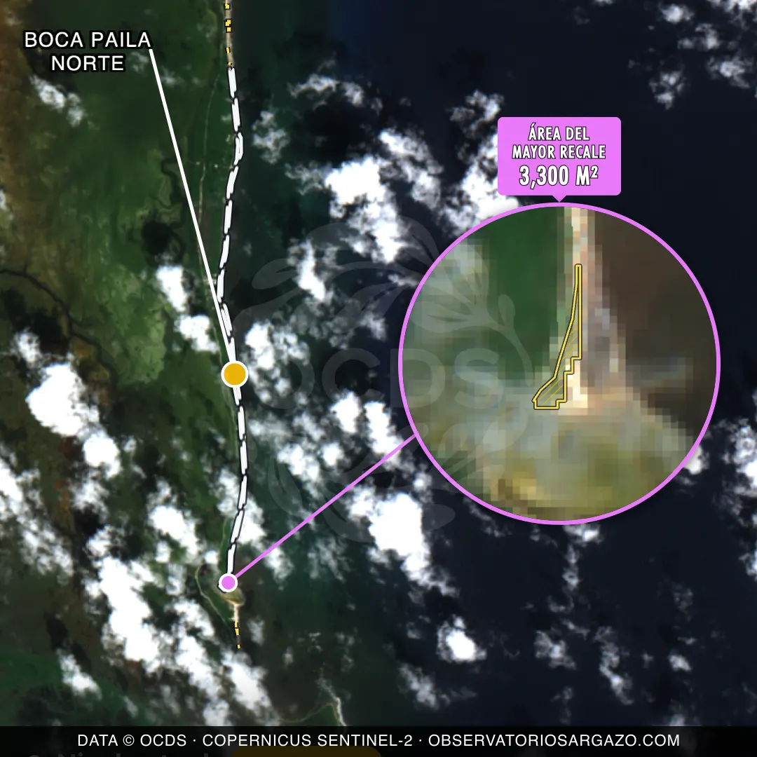 Immagine satellitare del sargasso sulla spiaggia Boca Paila Norte, Sian Kaan — sargasso moderato, 12 ottobre 2026