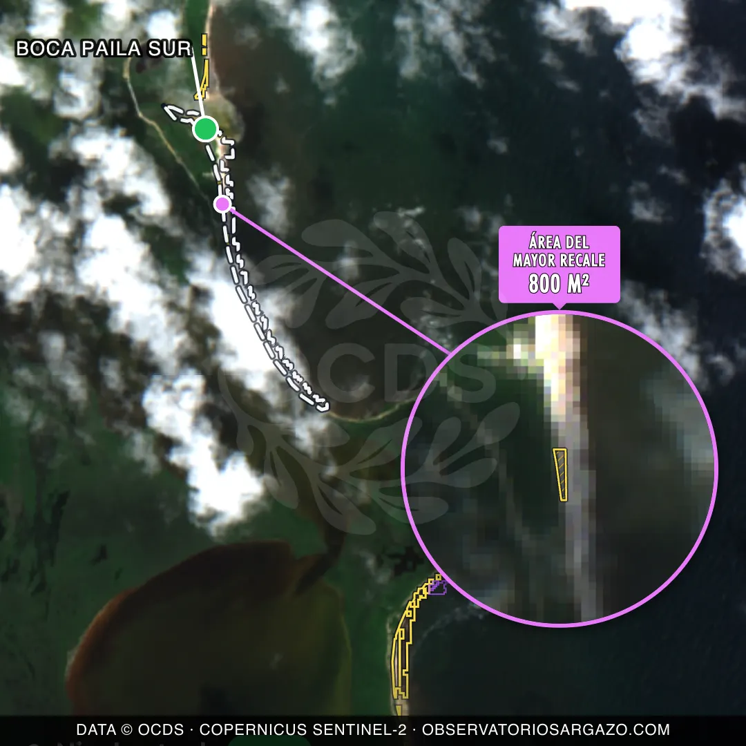 Immagine satellitare del sargasso sulla spiaggia Boca Paila Sur, Sian Kaan — sargasso scarso, 12 ottobre 2026