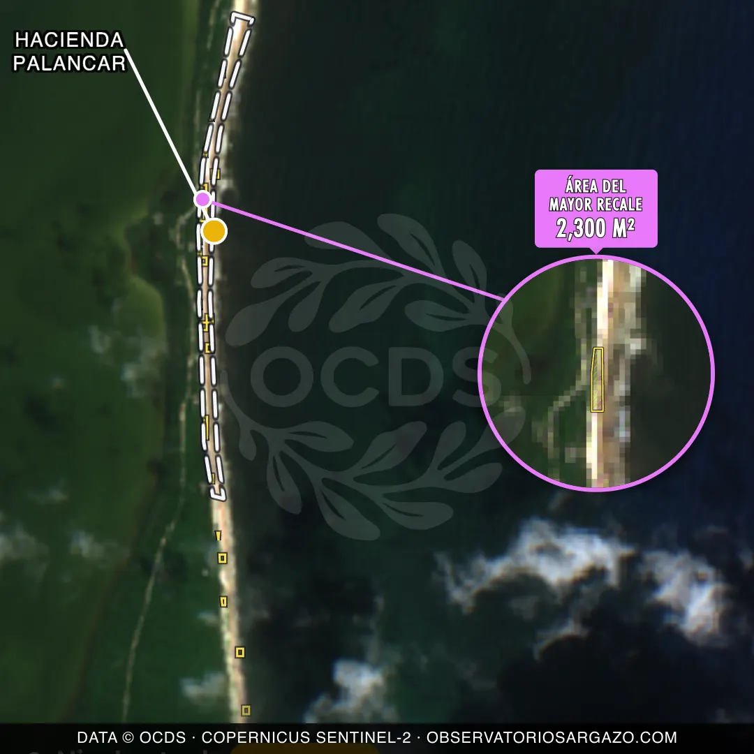 Immagine satellitare del sargasso sulla spiaggia Hacienda Palancar, Sian Kaan — sargasso moderato, 12 ottobre 2026