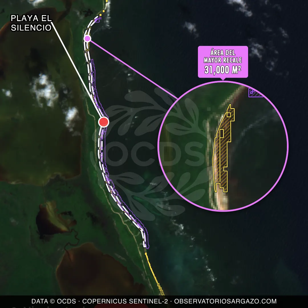 Immagine satellitare del sargasso sulla spiaggia Playa El Silencio, Sian Kaan — marea marrone, 12 ottobre 2026