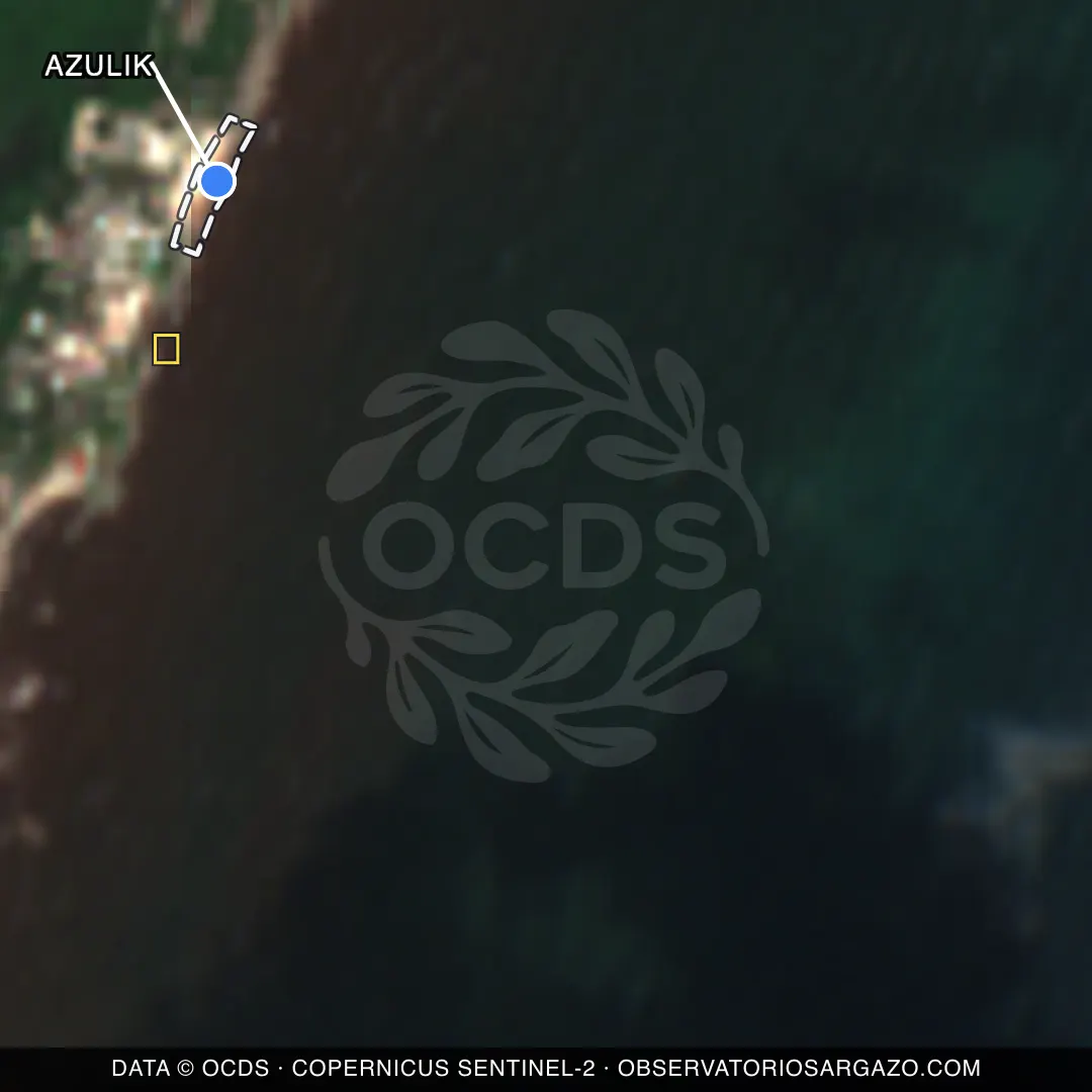 Immagine satellitare del sargasso sulla spiaggia Azulik, Tulum — senza sargasso, 12 ottobre 2026