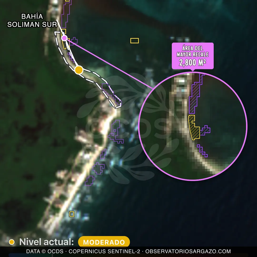 Image satellite des sargasses sur la plage Bahía Soliman Sur, Tulum — marée brune, 12 octobre 2026