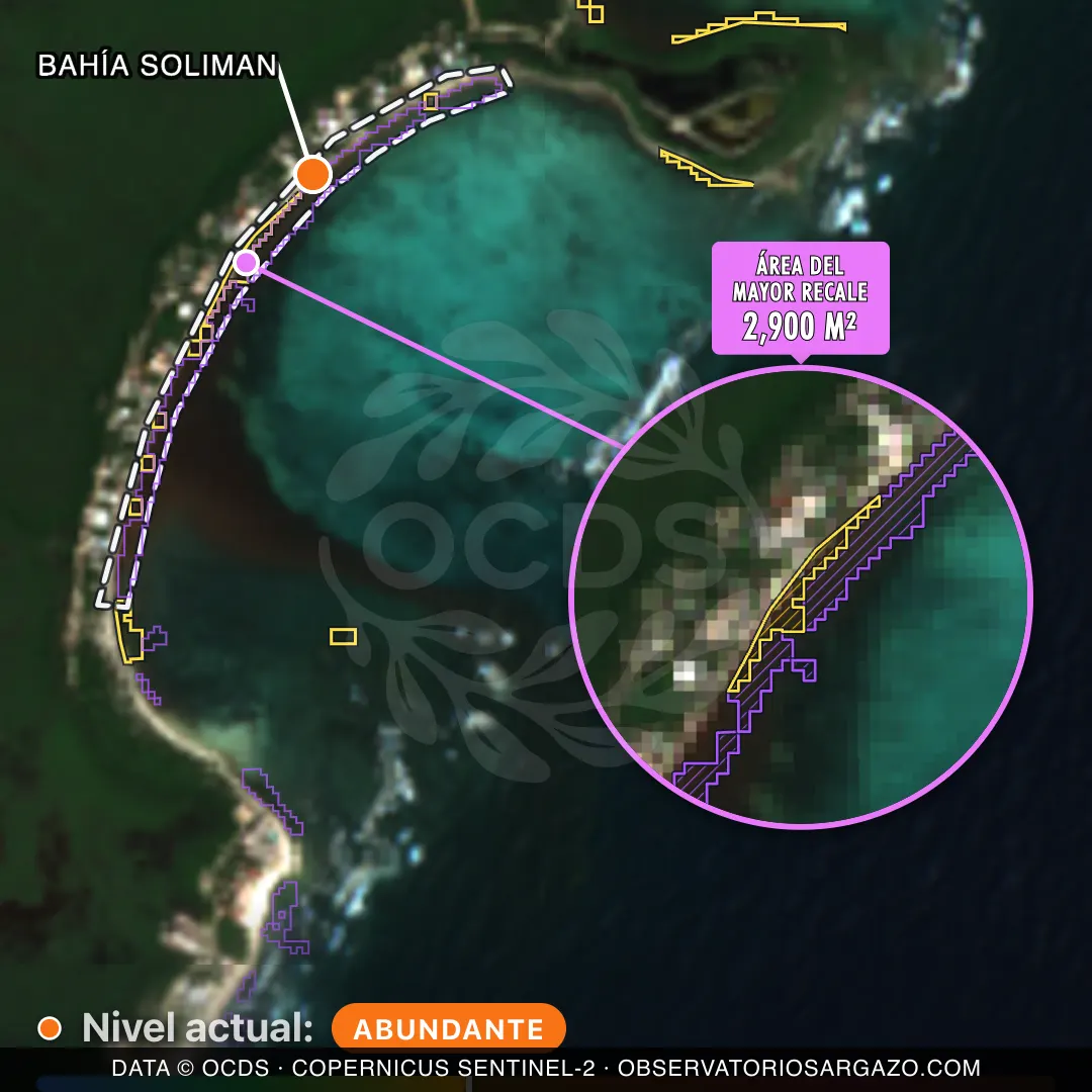 Immagine satellitare del sargasso sulla spiaggia Bahía Soliman, Tulum — marea marrone, 12 ottobre 2026