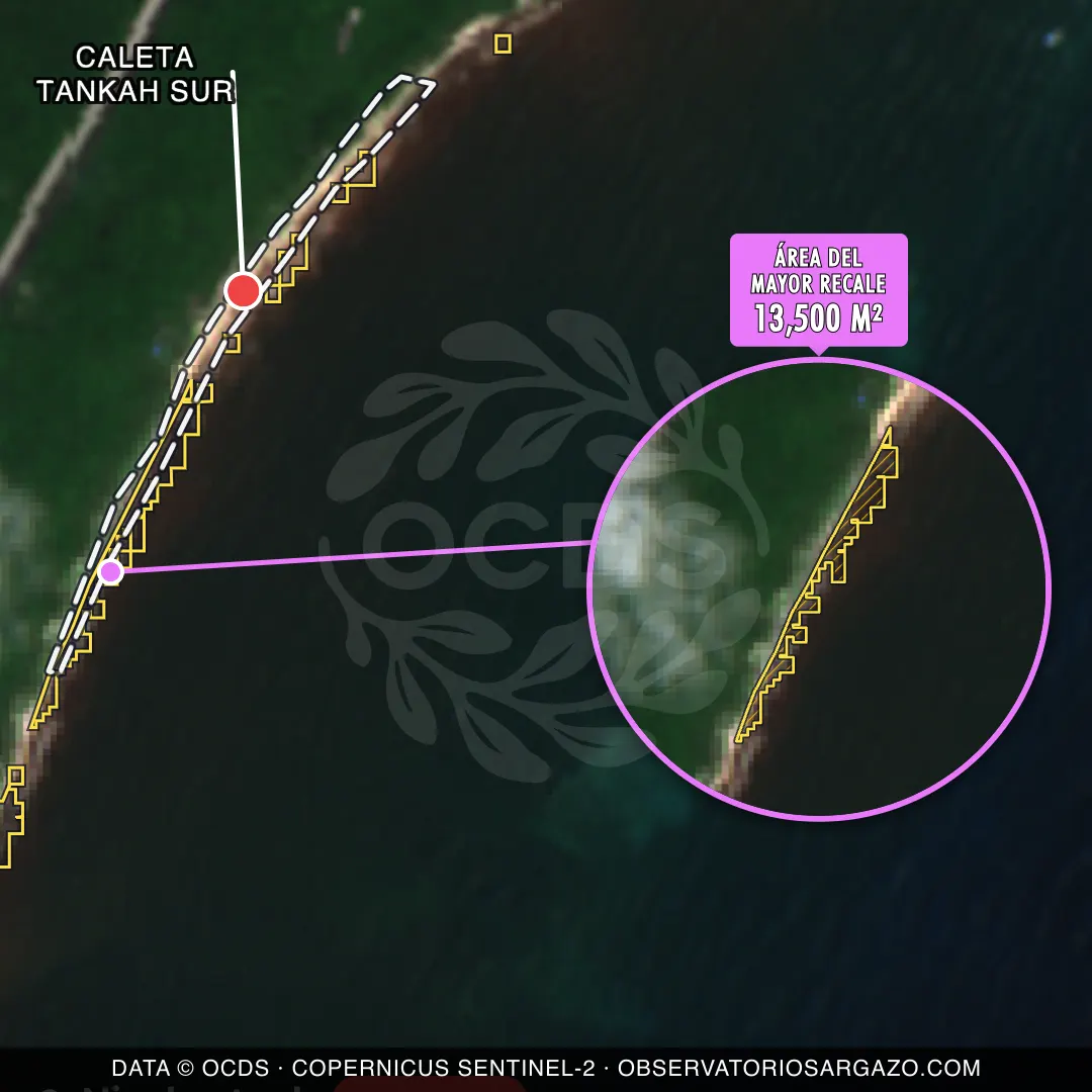 Immagine satellitare del sargasso sulla spiaggia Caleta Tankah Sur, Tulum — sargasso eccessivo, 12 ottobre 2026