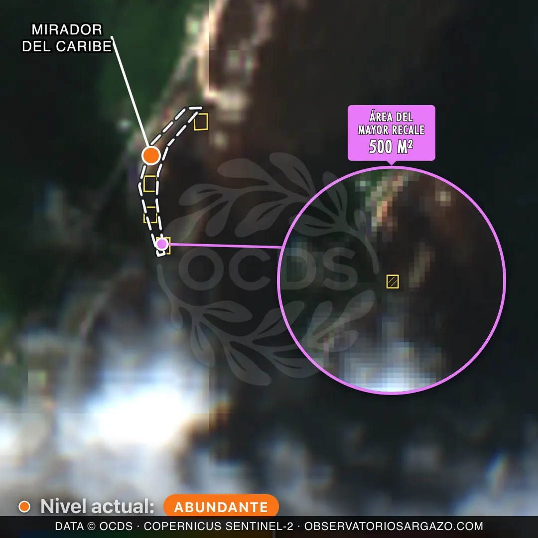 Immagine satellitare del sargasso sulla spiaggia Mirador del Caribe, Tulum — sargasso abbondante, 12 ottobre 2026