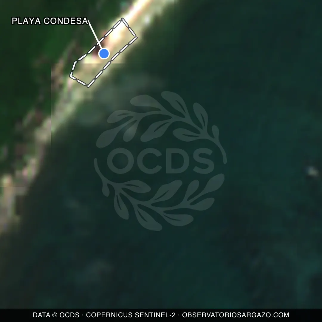 Immagine satellitare del sargasso sulla spiaggia Playa Condesa, Tulum — senza sargasso, 12 ottobre 2026