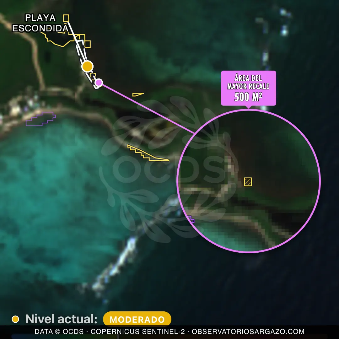 Image satellite des sargasses sur la plage Playa Escondida, Tulum — sargasses modérées, 12 octobre 2026