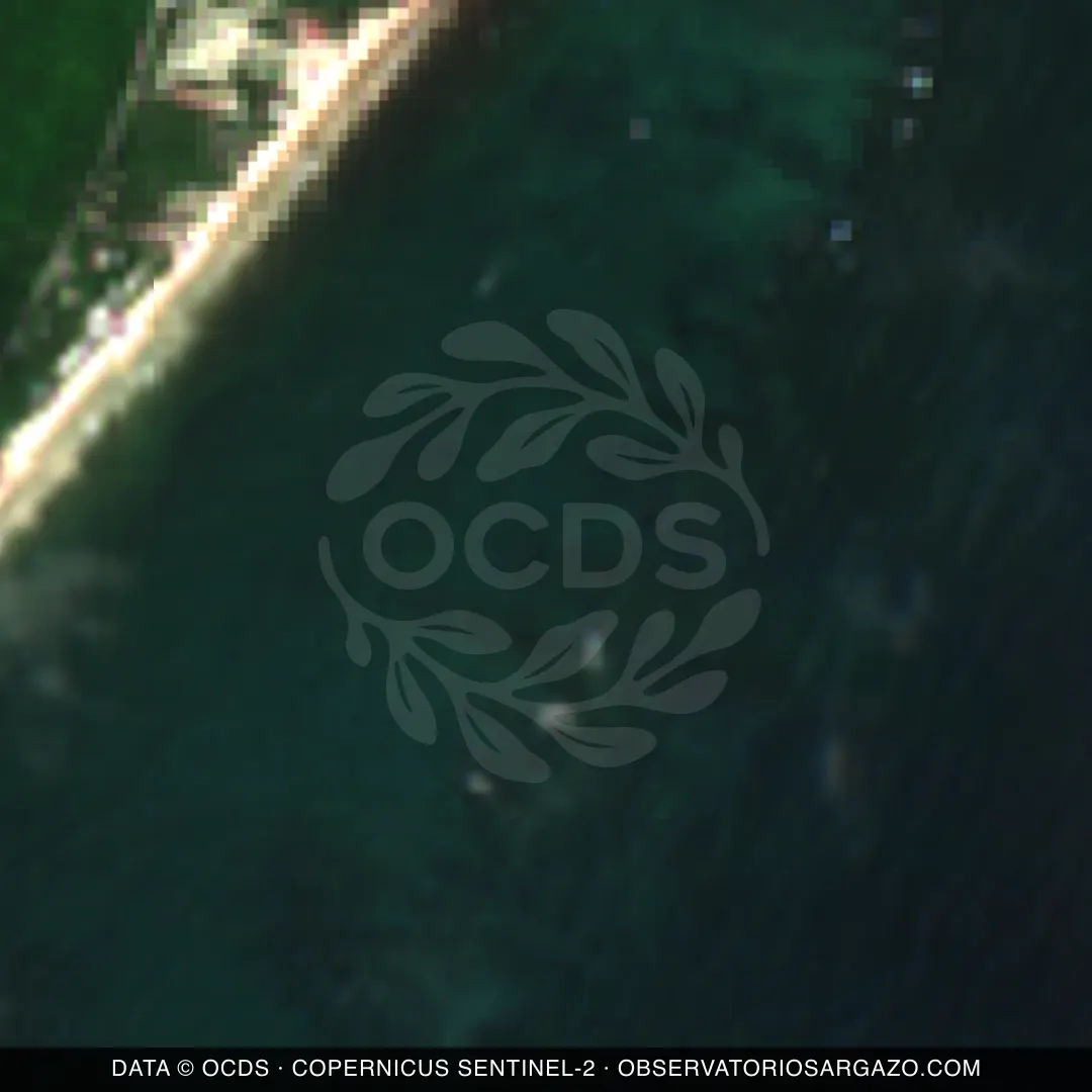 Image satellite des sargasses sur la plage Playa Esperanza, Tulum — sans sargasses, 12 octobre 2026