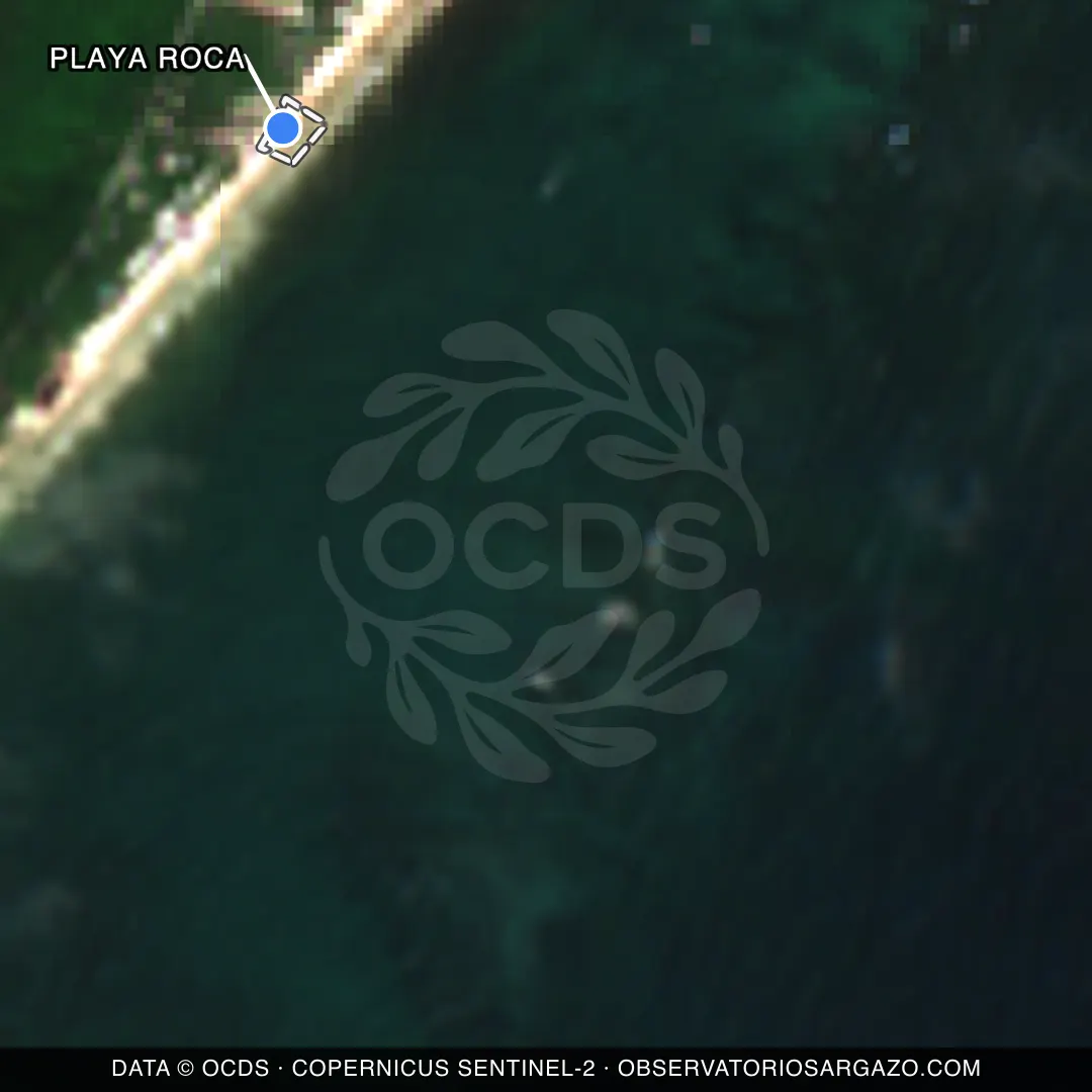 Immagine satellitare del sargasso sulla spiaggia Playa Roca, Tulum — senza sargasso, 12 ottobre 2026