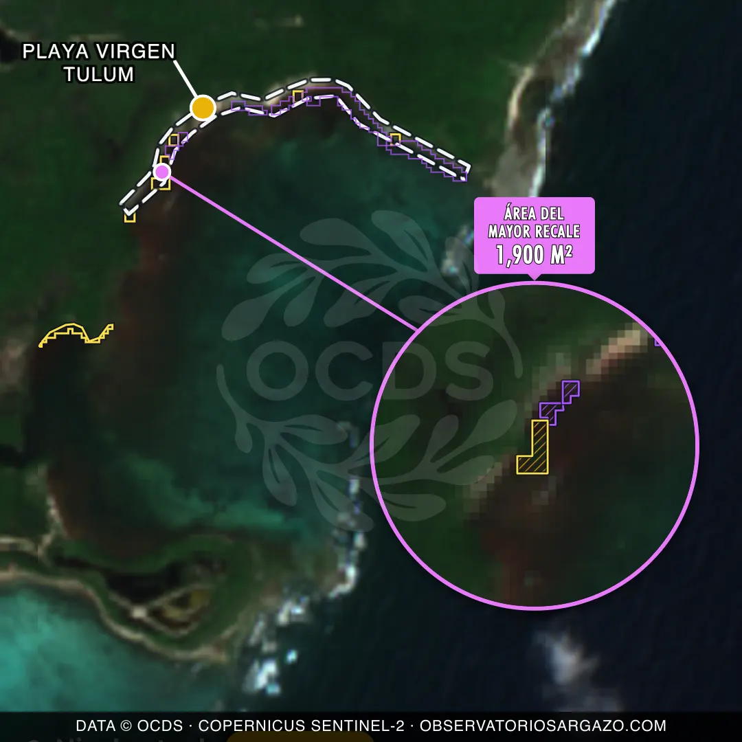 Immagine satellitare del sargasso sulla spiaggia Playa Virgen Tulum, Tulum — marea marrone, 12 ottobre 2026