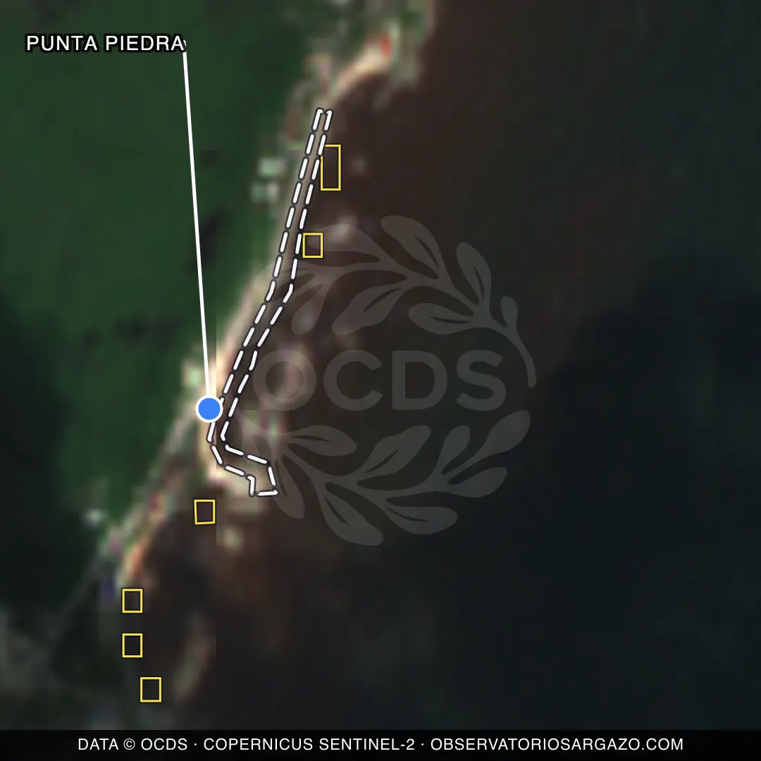 Immagine satellitare del sargasso sulla spiaggia Punta Piedra, Tulum — senza sargasso, 12 ottobre 2026