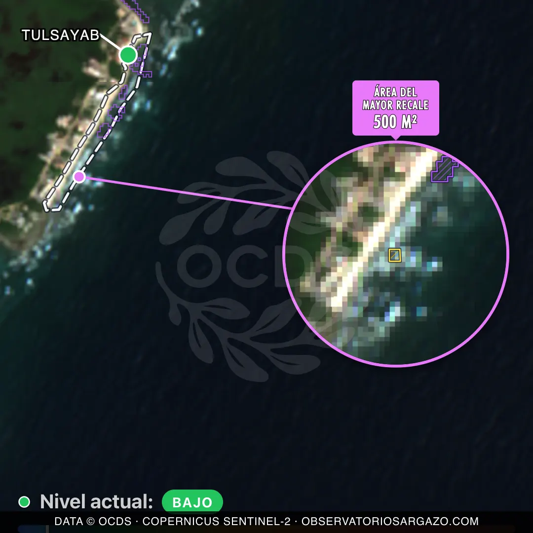 Immagine satellitare del sargasso sulla spiaggia Tulsayab, Tulum — marea marrone, 12 ottobre 2026