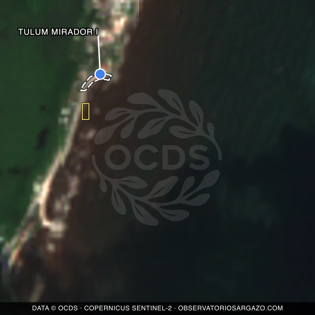 Immagine satellitare del sargasso sulla spiaggia Tulum Mirador I, Tulum — senza sargasso, 12 ottobre 2026
