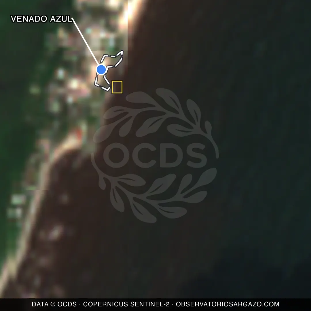 Image satellite des sargasses sur la plage Venado Azul, Tulum — sans sargasses, 12 octobre 2026