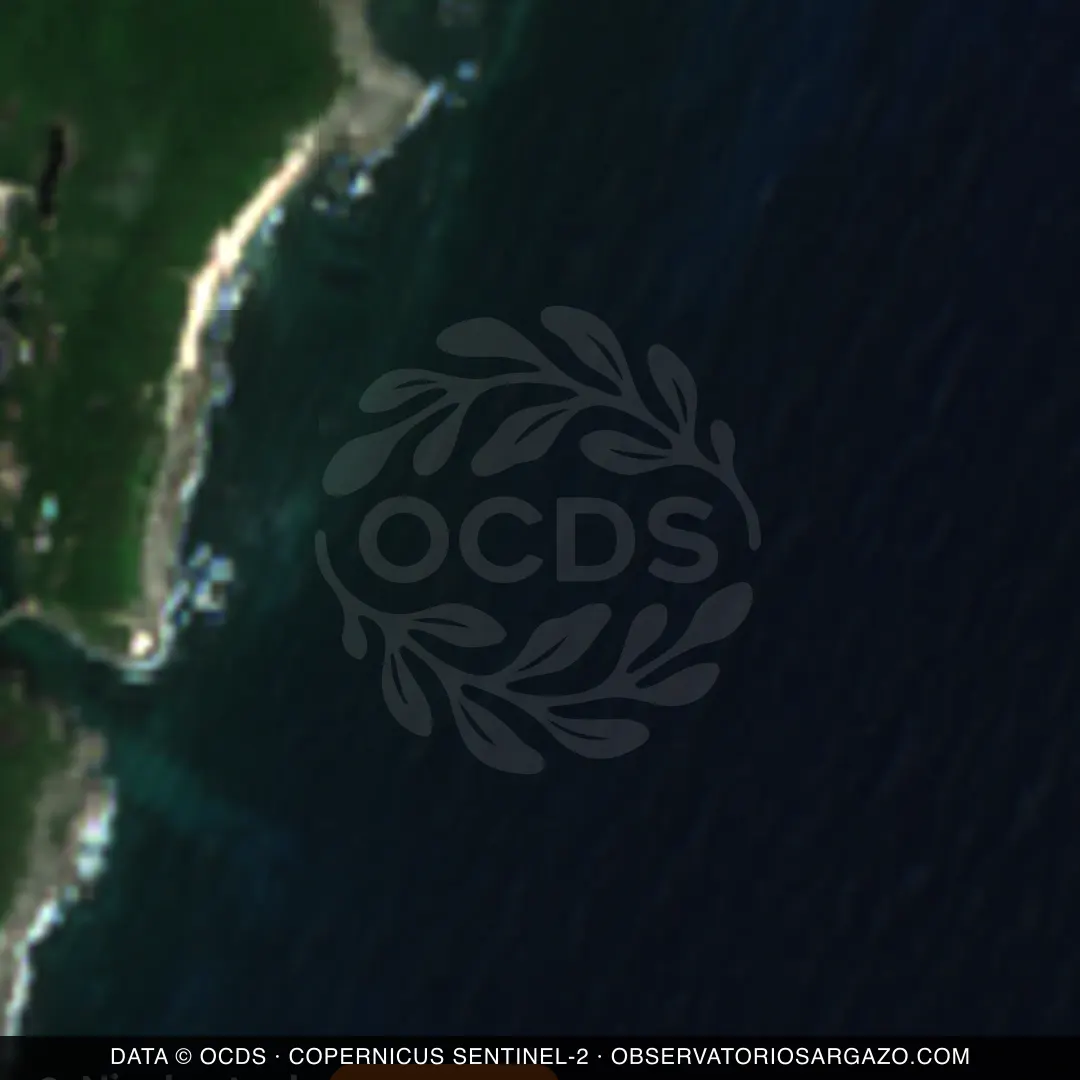 Image satellite des sargasses sur la plage Xel-Há, Tulum — sargasses abondantes, 12 octobre 2026