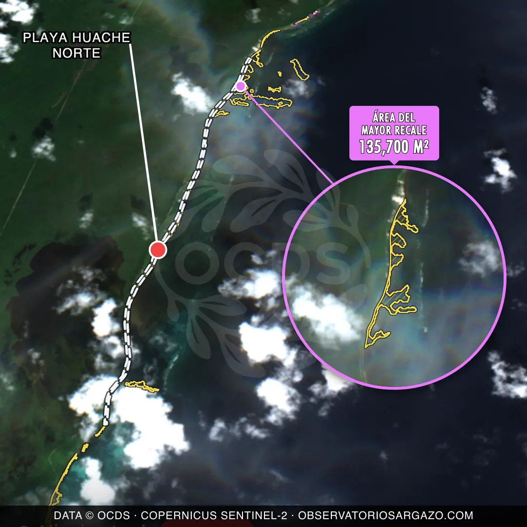 Immagine satellitare del sargasso sulla spiaggia Playa Huache Norte, Xcalak — sargasso eccessivo, 12 ottobre 2026